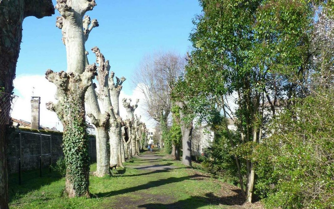 Le Jardin des Remparts à Bordeaux : Un Oasis de Sérénité au Cœur de l’Histoire